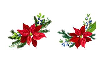 Beautiful poinsettia flower set. Christmas decorations with red flower, fir tree branches and blueberries illustration vector