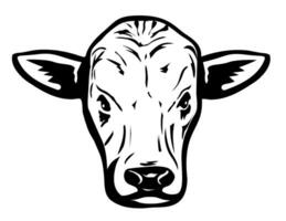 Romagnola Bull Head Front View Retro Mascot vector