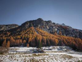 Vibrant autumn foliage covers the mountainous landscape of aosta, italy, with snow dusted peaks under a clear blue sky in november Frazionne Lillaz photo