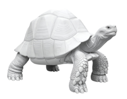 realistic white anatomical turtle sculpture 3d rendered with detailed shell and skin texture on isolated background for zoology education and nature reference png