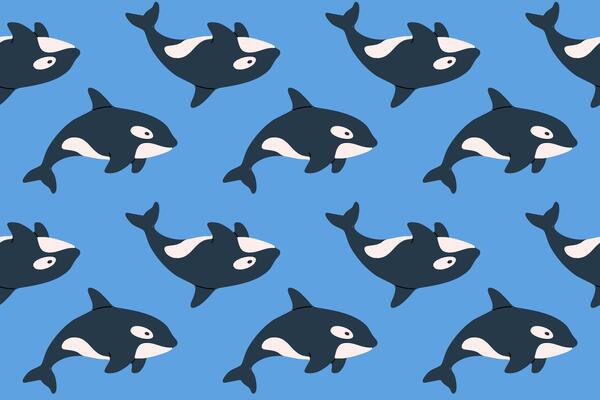 Seamless pattern with whales swimming on blue background. Ideal for ocean life illustrations, textile and kids designs