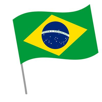 Brazil national flag flutters with flagpole