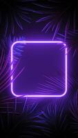 Neon Purple Frame on Dark Background with Palm Leaves, Neon Motion Background, 2D Animation, Tropical Vibe, 4K Resolution video