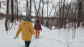 Two joyful people stroll hand in hand on a snowy path in a winter forest, where bare trees silhouette against a cloudy sky, creating a tranquil atmosphere for peace and reflection video