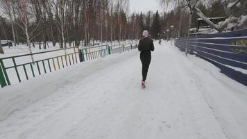 uma dedicada corredor, apaixonado sobre fitness, goza uma frio inverno correr em uma coberto de neve caminho, exibindo a deslumbrante beleza do ao ar livre ginástica dentro uma sereno natureza pano de fundo video