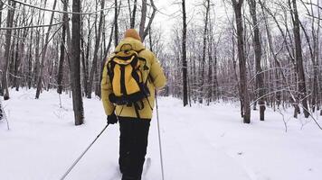 A person wearing skis and a backpack in the woods video