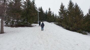 Two people walking down a snowy path video