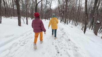Two people walking in the snow in the woods video
