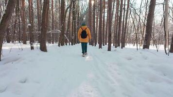 person walking through snowy forest video