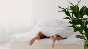 A young couple is sharing tender moments in their bright bedroom, wrapped in a soft blanket on their bed, surrounded by a calming atmosphere and green plants that enhance their love and connection. video