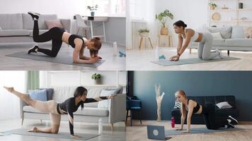 Four individuals of different backgrounds are actively participating in various fitness routines indoors. The lively atmosphere promotes a healthy lifestyle and athleticism at home. video