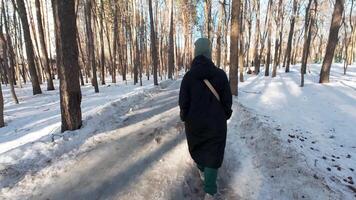 A person walking in the snow in the woods video