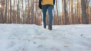 person walking in the snow in the woods video