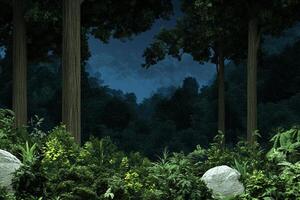 A forest scene with rocks and trees photo