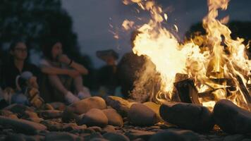 As the sun sets, friends gather around a warm campfire on smooth stones, sharing stories and enjoying the ambiance beneath a starlit sky, creating a cozy atmosphere for cherished moments together video
