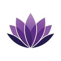Purple Lotus Bloom A Symbol of Peace and Harmony vector