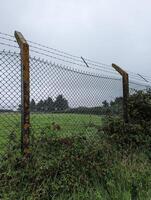 Old Barbed Wire Fence Protecting Farmland with Deteriorating Concrete and Lichen-Covered Posts. photo