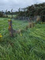 Meadow View Deteriorating Lichen-Covered Concrete Fence and Field in Wales photo