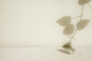 simple room with leaf shadow background photo