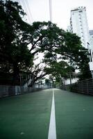 The road street cuts through the forest wood park with tree leaf shadow from sun rays in summer sunrise background and city photo