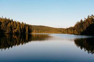 Scenic view of a lake in the mountains surrounded by evergreen forest photo