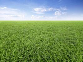 green grass field with blue sky and white clouds in the gardening and landscape shot photo use for design display product background concept