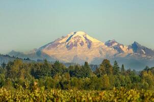 Stunning View of a mountain With Snow-Capped Peaks and Lush Forests photo