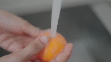 Washing the tangerine fruit under the running water. Focus on the water streams, the tangerine fruit and the hand. video