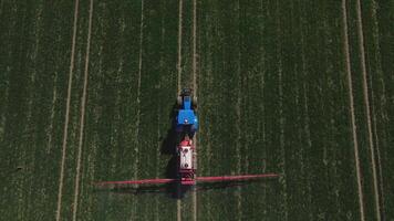 Blue tractor working in agricultural field, aerial view. Tractor spraying crop field with fertilize or pesticide for good harvest. Concept of farming technology and crop care video