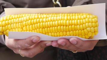Enjoying fresh corn on the cob at local market in summer video