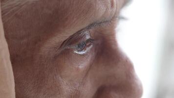 Elderly person gazing thoughtfully by a window on a calm day video