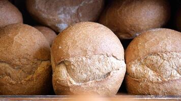 Freshly baked whole grain bread displayed on a wooden shelf video