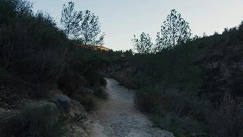 Light illuminates a rocky path winding through a valley bordered by trees and bushes, as the sky transitions from daylight to twilight hues video