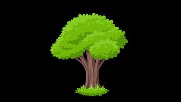 Cartoon Green Tree with Rounded Canopy Alpha and Looped video