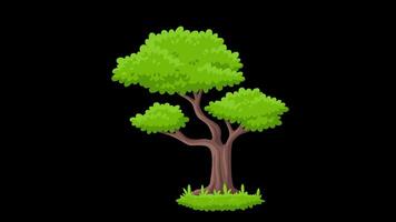 Cartoon Green Tree with Tall Trunk Alpha and Looped video
