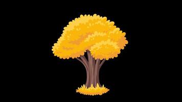 Cartoon Autumn Tree with Swirling Branches Alpha and Looped video