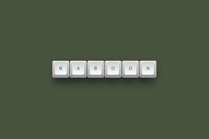 Baboon text on a 3d keyboard button with shadow concept series photo