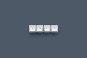 Mole text on a 3d keyboard button with shadow concept series photo