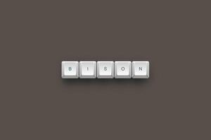 Bison text on a 3d keyboard button with shadow concept series photo