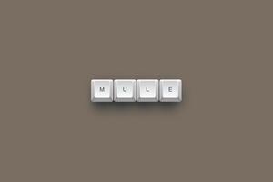 Mule text on a 3d keyboard button with shadow concept series photo