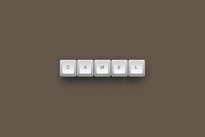 Camel text on a 3d keyboard button with shadow concept series photo
