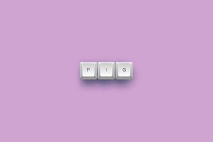 pig text on a 3d keyboard button with shadow concept series photo
