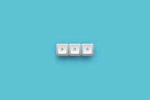 Dog text on a 3d keyboard button with shadow concept series photo