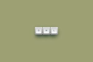 Owl text on a 3d keyboard button with shadow concept series photo