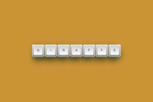 Giraffe text on a 3d keyboard button with shadow concept series photo