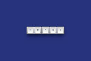 Horse text on a 3d keyboard button with shadow concept series photo