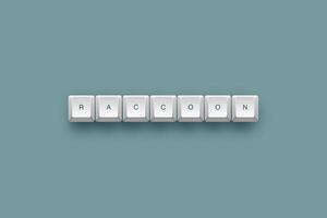 Raccoon text on a 3d keyboard button with shadow concept series 1971 photo
