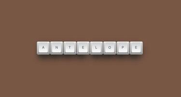 Antelope text on a 3d keyboard button with shadow concept series photo