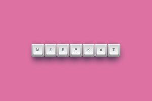 Meerkat text on a 3d keyboard button with shadow concept series photo