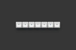 Panther text on a 3d keyboard button with shadow concept series photo